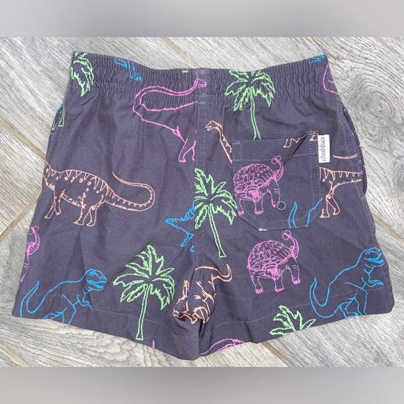 Chubbies Little Kids Classic Swim Trunk - Picture 2 of 4